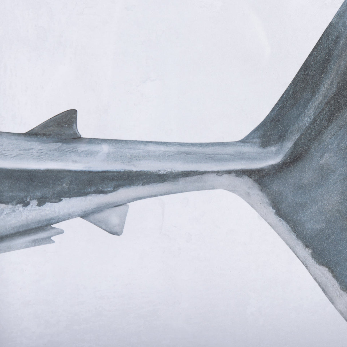 Great White Shark by Ariana a Triptych Hand Embellished Textured Framed Art Print Matted under Glass by Mercana at Eve Furniture