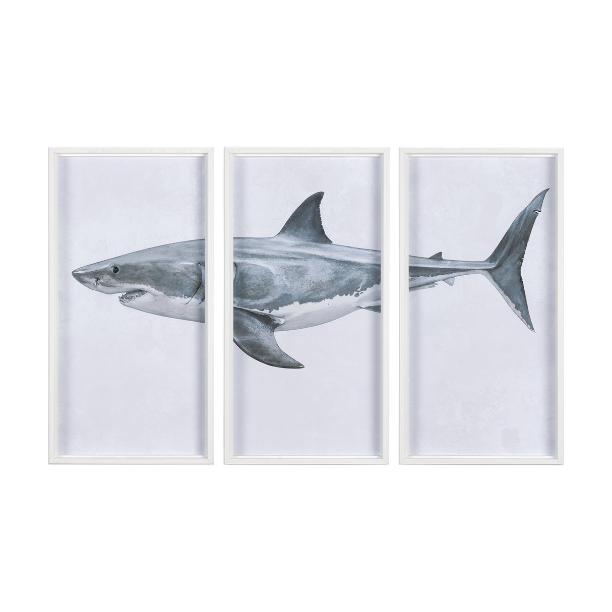 Great White Shark by Ariana a Triptych Hand Embellished Textured Framed Art Print Matted under Glass by Mercana at Eve Furniture