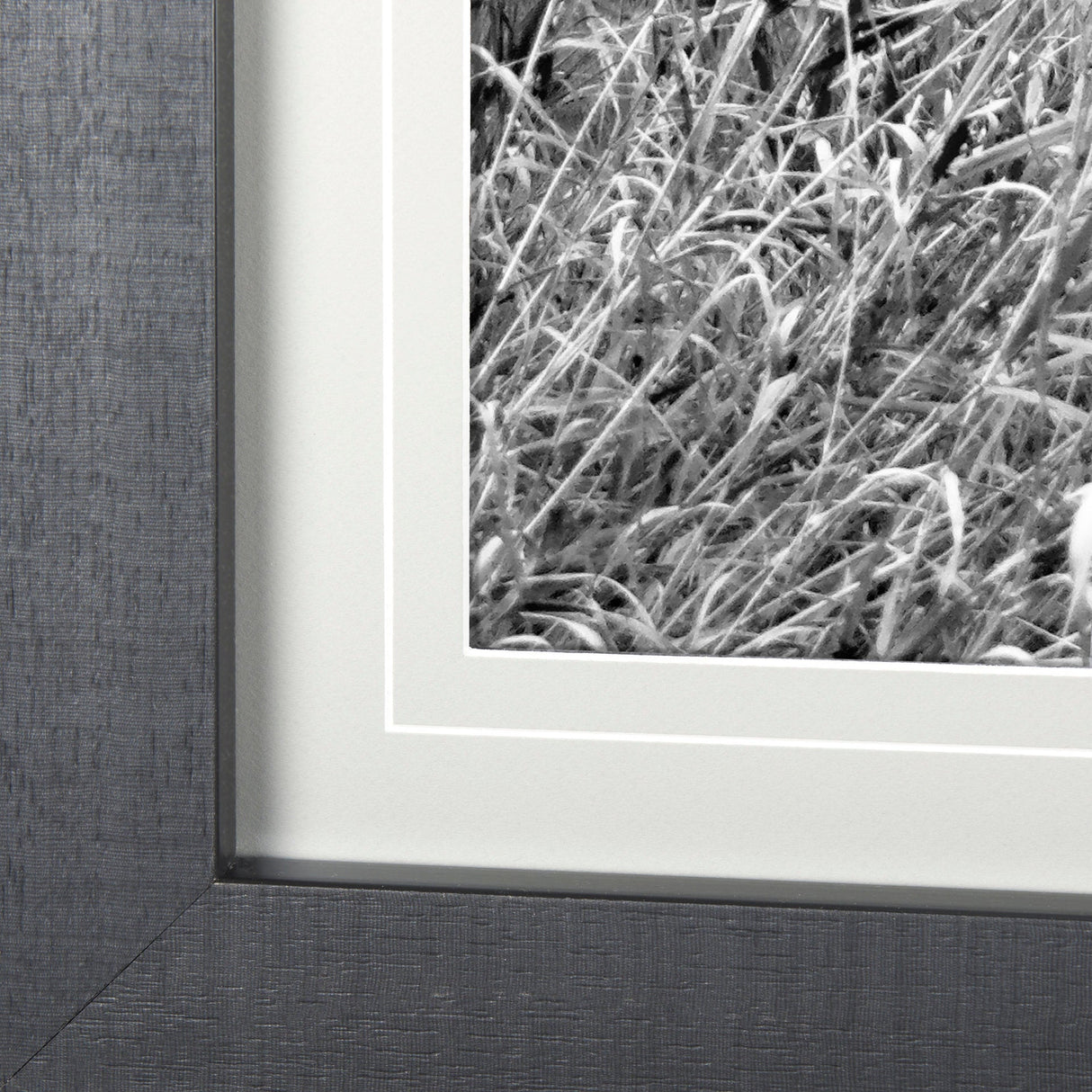 Grey & White Barn Ii by Mercana Studio Hand Embellished Textured Framed Photo Art Print Matted under by Mercana at Eve Furniture