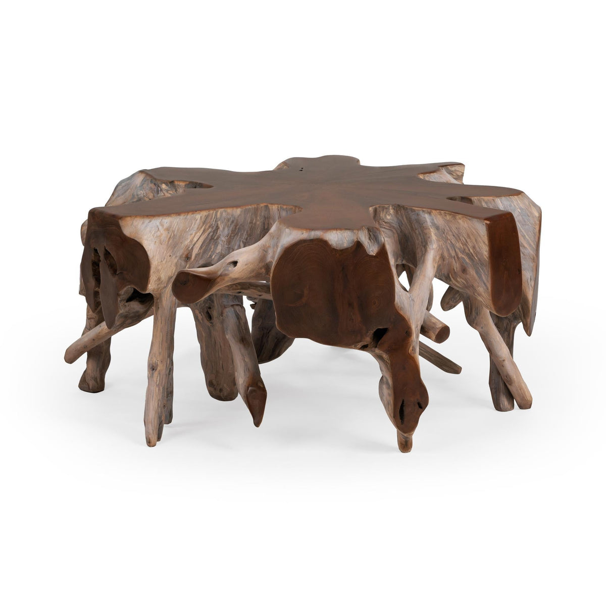 Groot Coffee Table by Classic Home at Eve Furniture