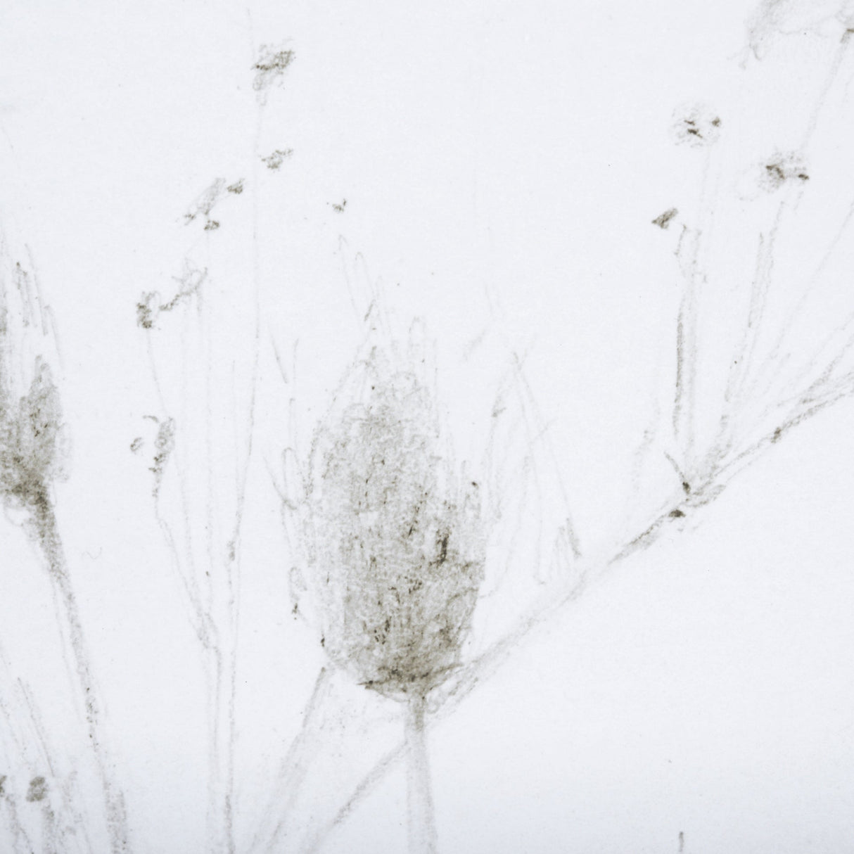 Growing Along The River I by Mercana Studio a Framed Art Print Matted under Glass by Mercana at Eve Furniture