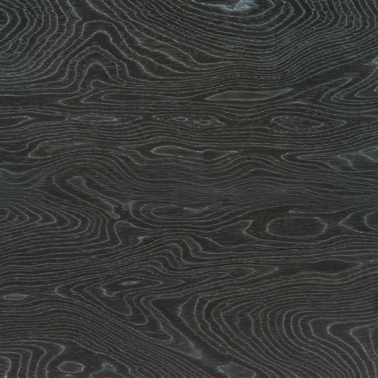 Gus Black Chest by Zuomod at Eve Furniture