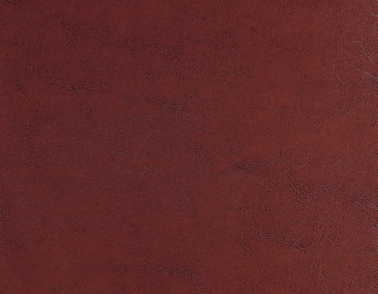 Hartford Vegan Leather Side Chair, Red, Set of 2 by Steve Silver at Eve Furniture