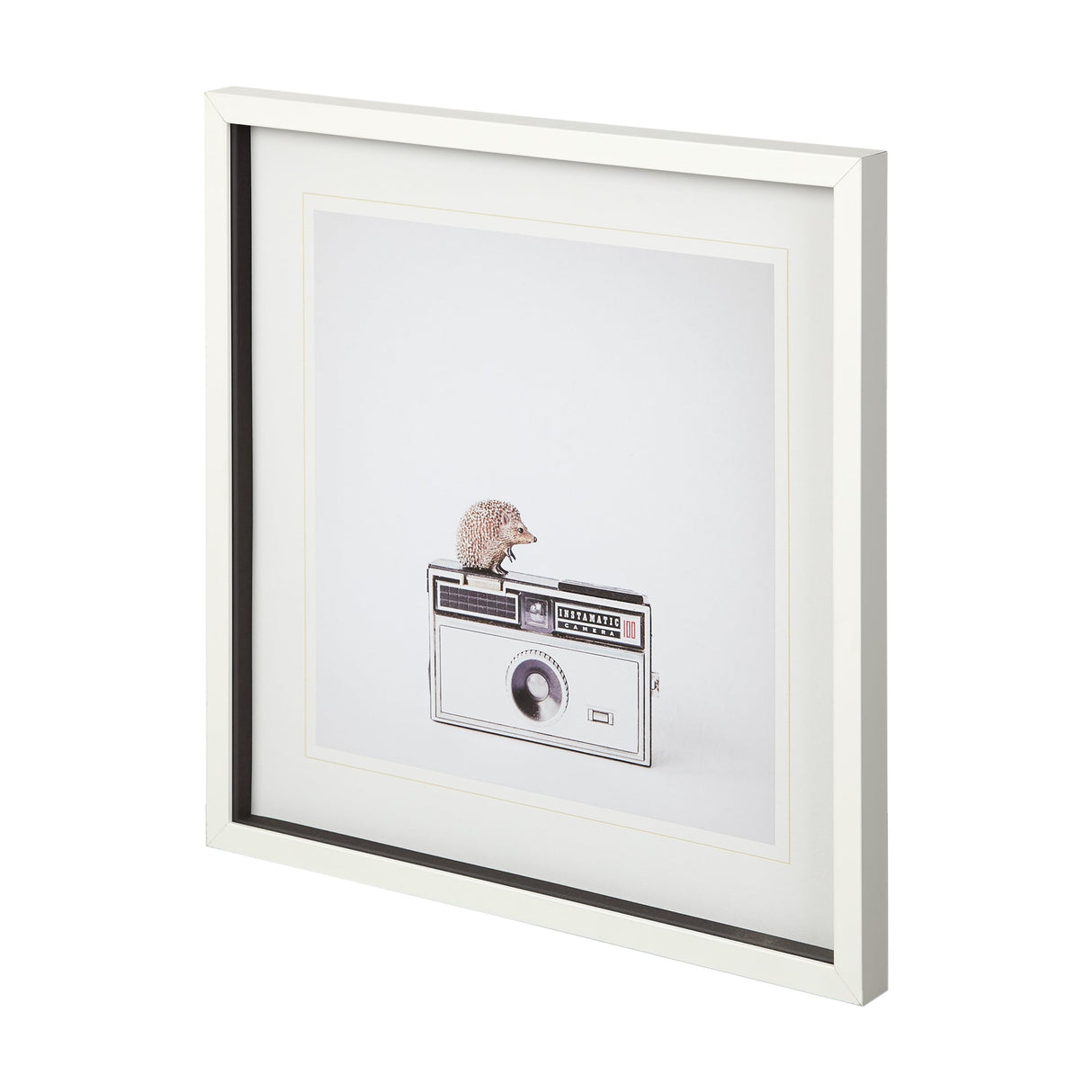 Hedgehog & Vintage Camera by Susannah Tucker Photography a Framed Photo Art Print Matted under Glass by Mercana at Eve Furniture