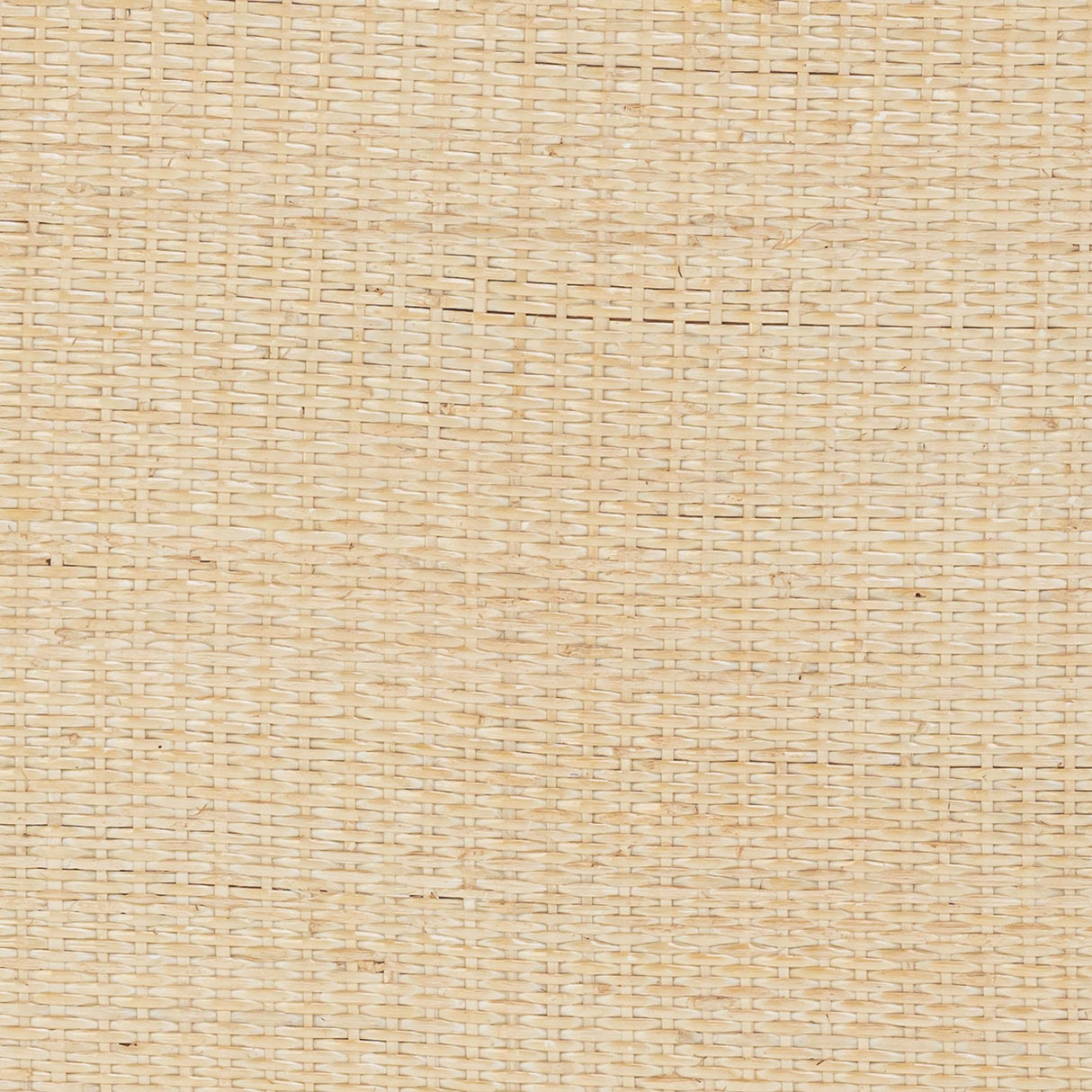 Henri Natural Rattan Side Table by TOV Furniture at Eve Furniture