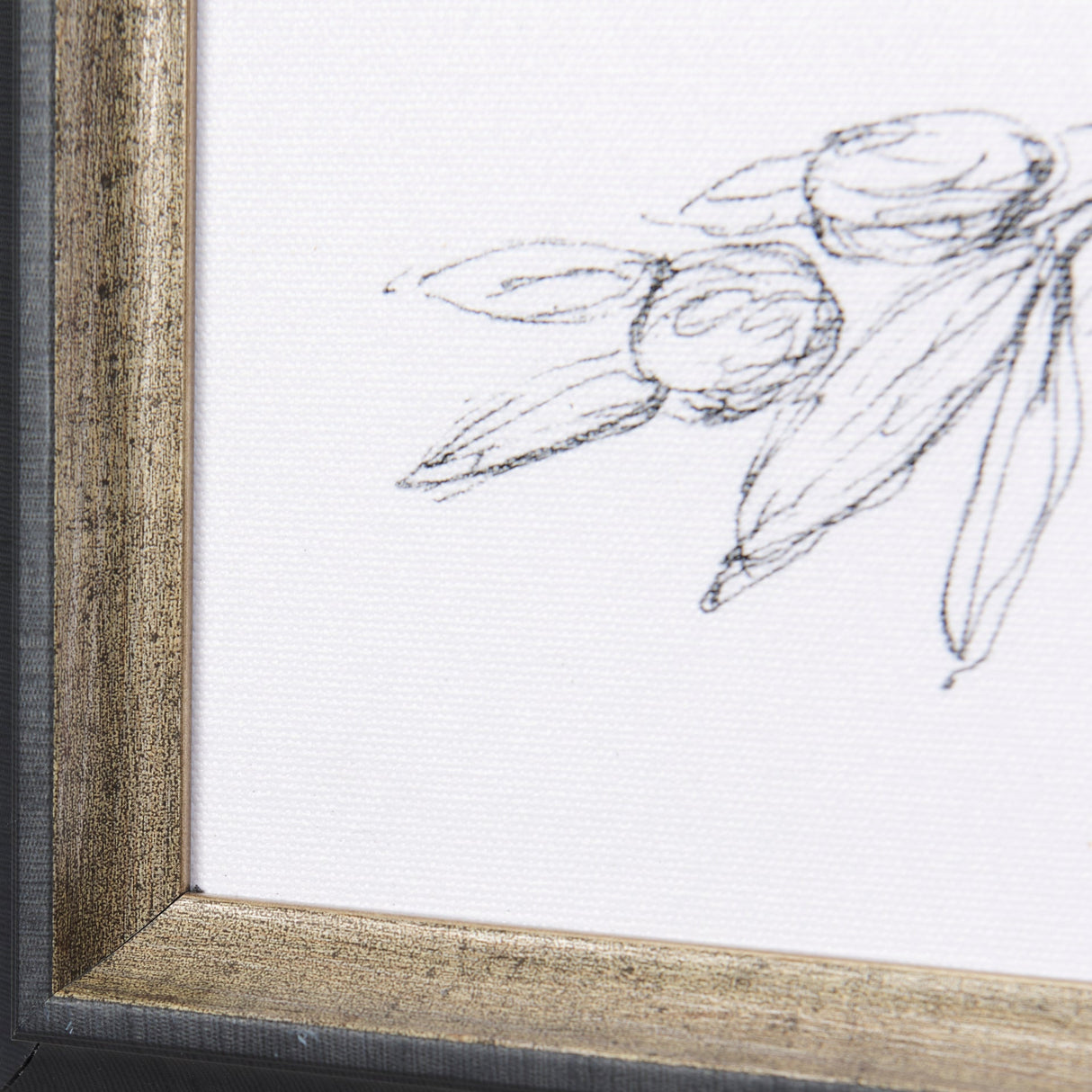 Herb Sketch I,II by Mercana Studio a Hand Embellished Textured Framed Art Print by Mercana at Eve Furniture