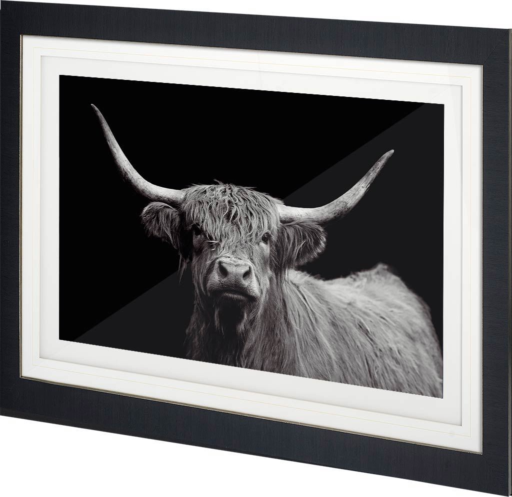 Highland Spirit - Framed Art Photograph Matted under Glass by Mercana at Eve Furniture