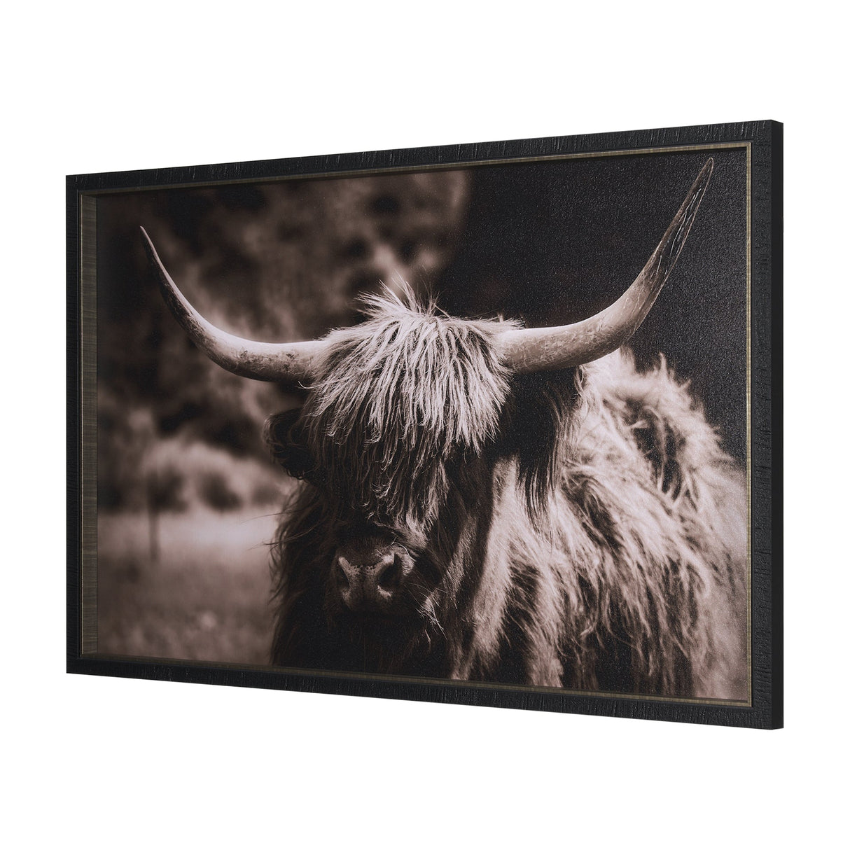 Highland Stare by Chad Mackay a Hand Embellished Textured Framed Photo Art Print by Mercana at Eve Furniture