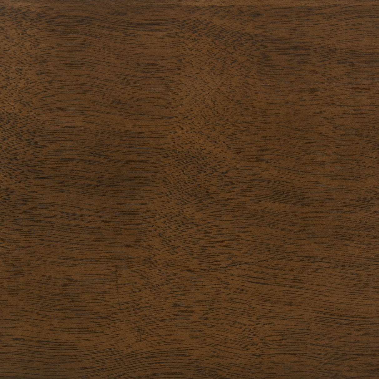 Holden Walnut Wood Veneer Twin Over Full Bunk Bed by Coaster at Eve Furniture