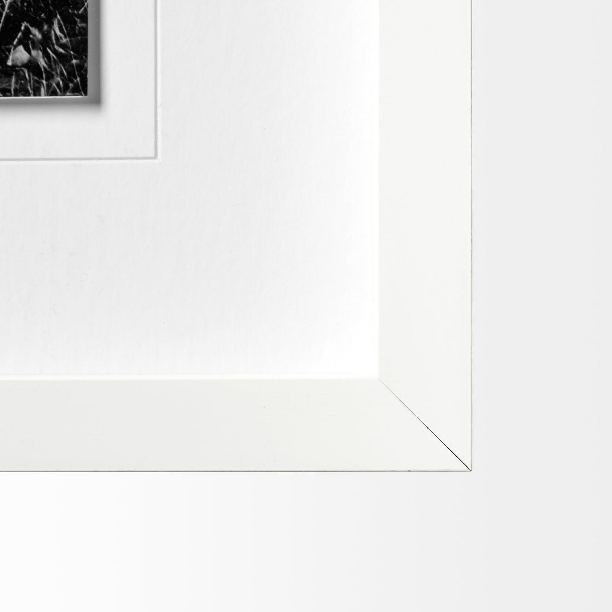 Horse 3 by Dunker a Framed Photo Art Print Matted under Glass by Mercana at Eve Furniture
