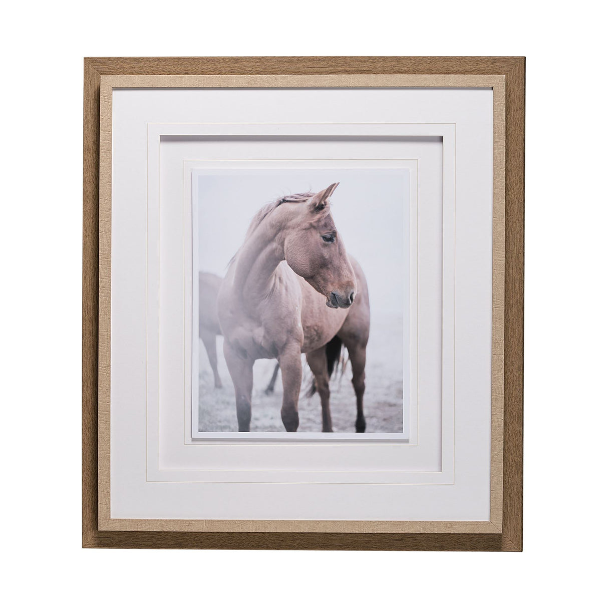 Horse 9 by Chris Dunker a Framed Photo Art Print Matted under Glass by Mercana at Eve Furniture