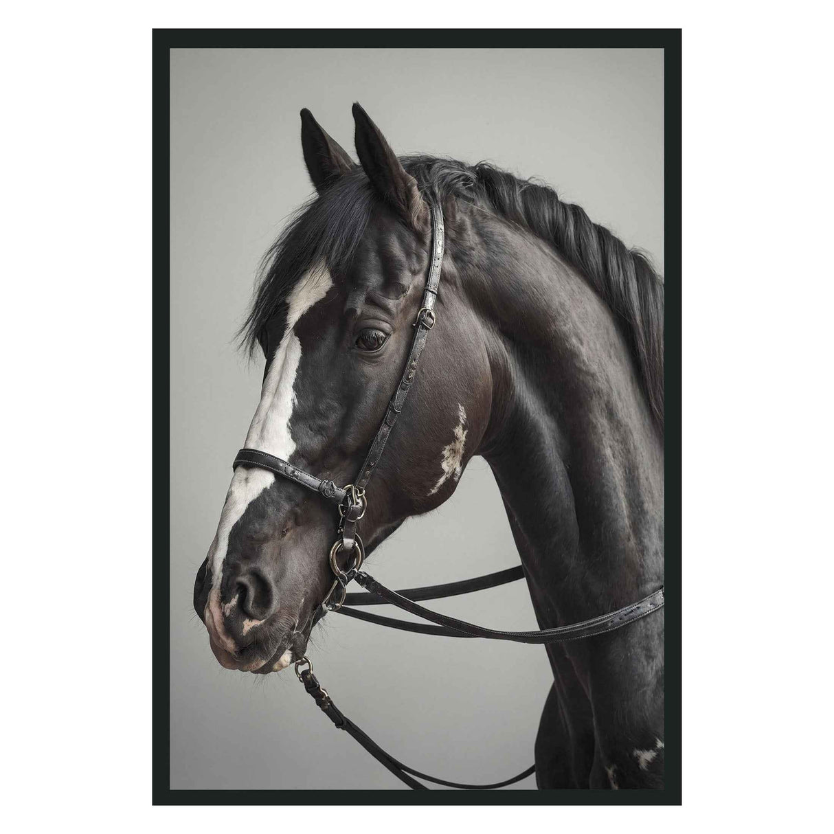 Horse Black Photography 48x72 by Classic Home at Eve Furniture