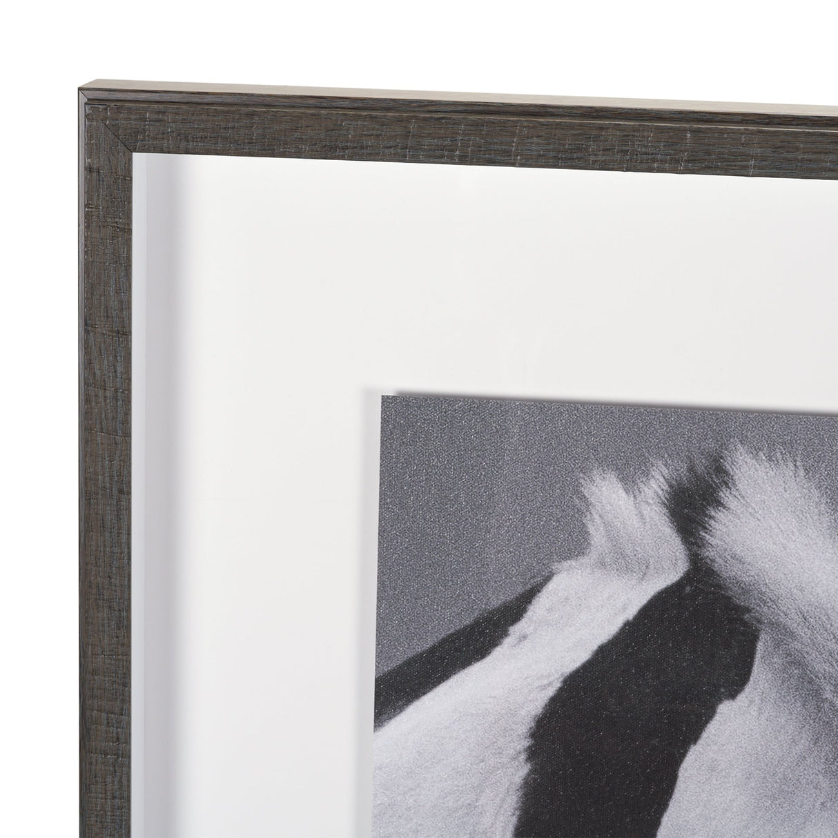 Horse Harmony - Nuzzle by Laura Warren a Hand Embellished Framed Photo Art Print Matted under Glass by Mercana at Eve Furniture
