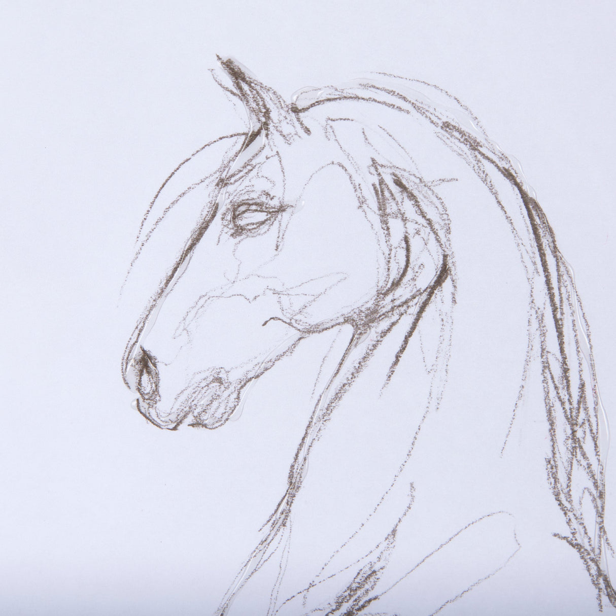 Horse II by Mercana Studio a Hand Embellished Textured Framed Art Print Matted under Glass by Mercana at Eve Furniture
