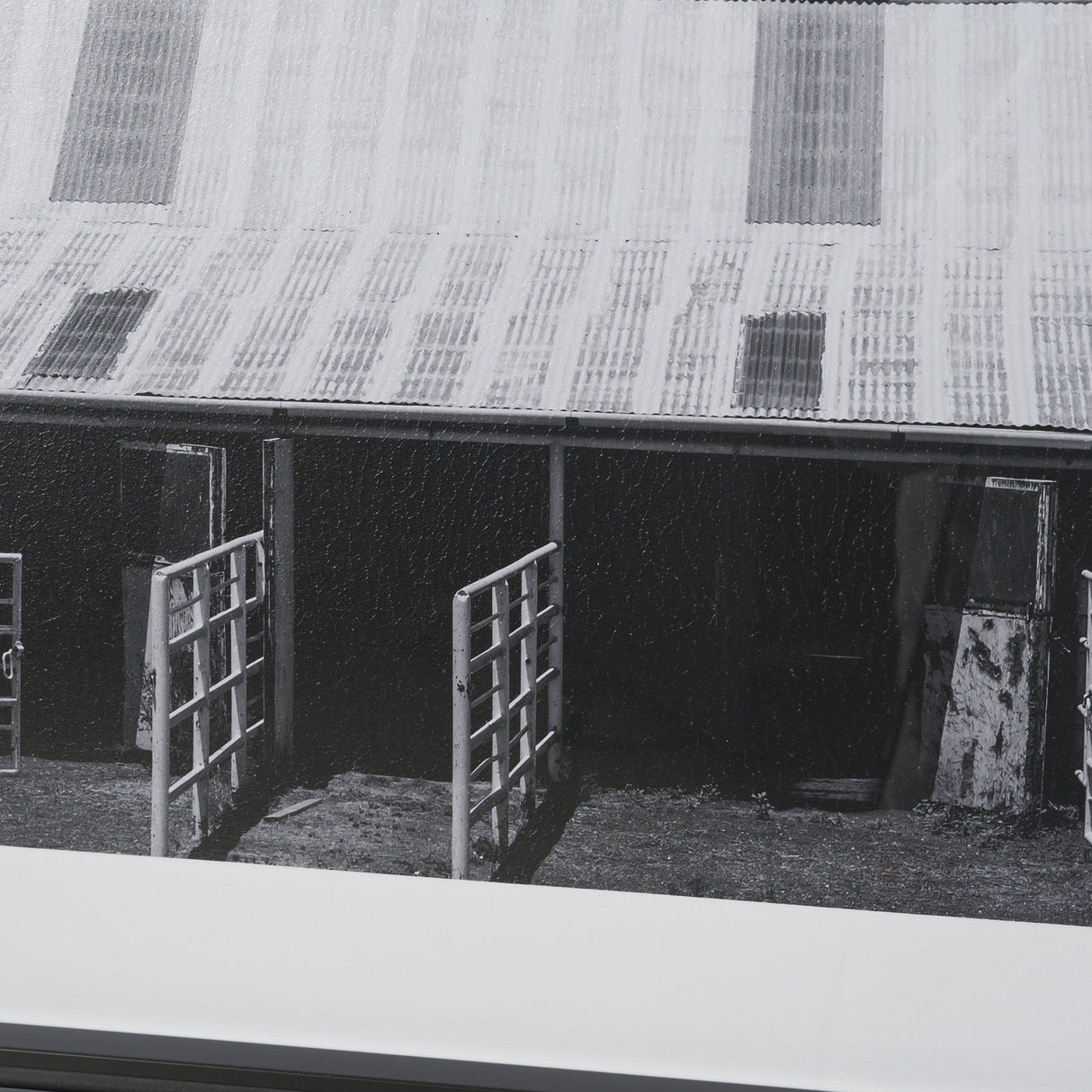 Horse Motel by Bethany Young Textured FramedPhoto Print Matted under Glass by Mercana at Eve Furniture