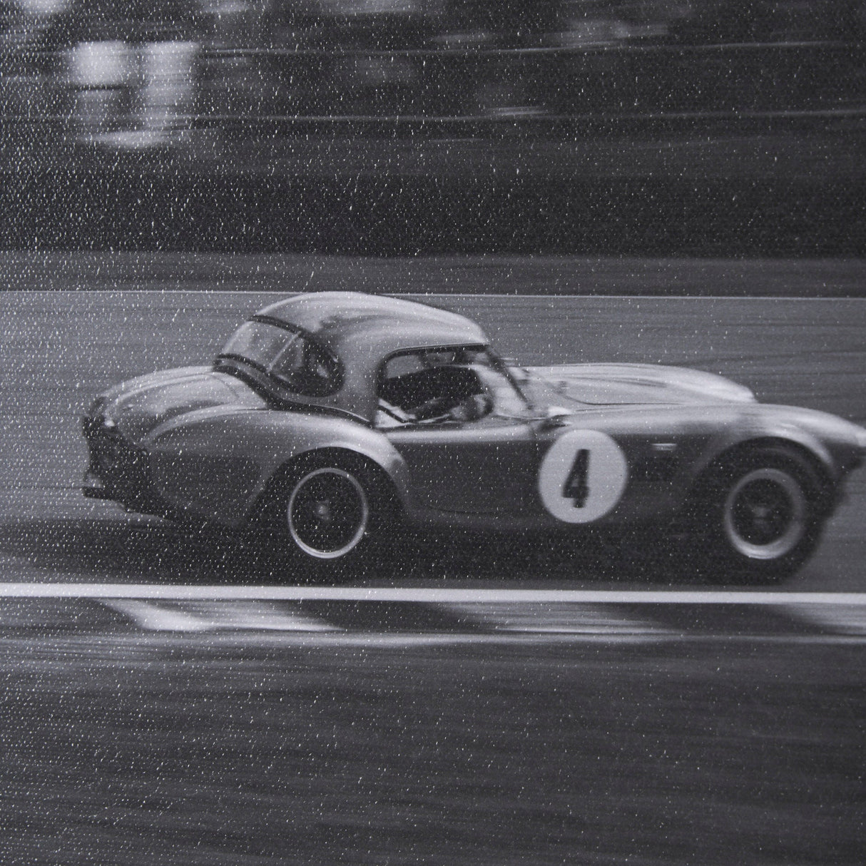 Hot on the Tail by Ben Wood a Hand Embellished Framed Photo Art Print Matted under Glass by Mercana at Eve Furniture