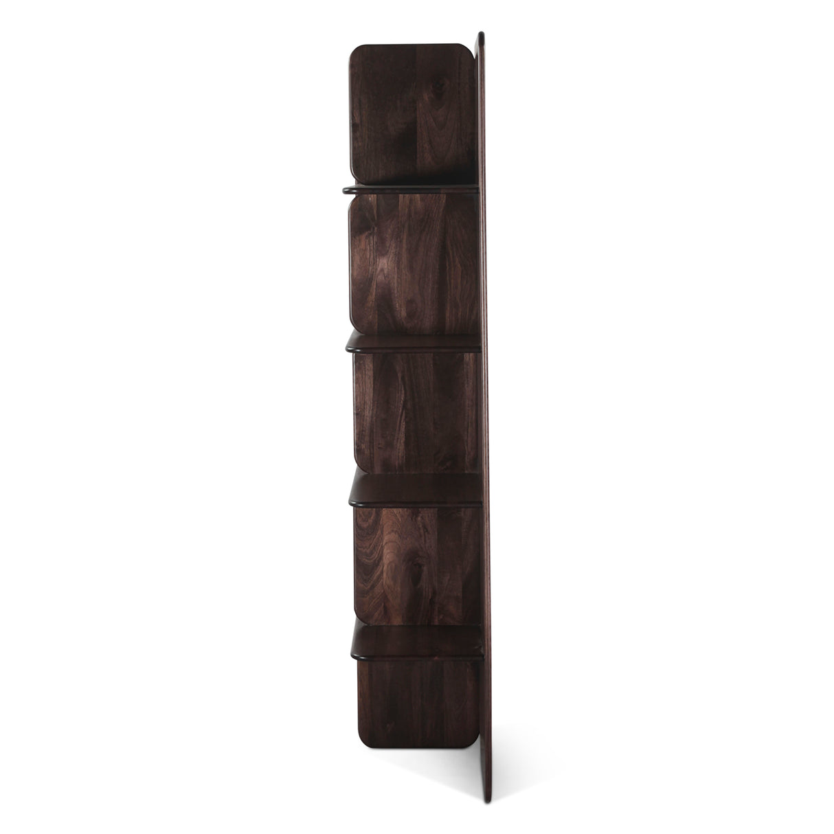 Hunter 48" Bookshelves in Dark Sienna by Home Trends & Design at Eve Furniture