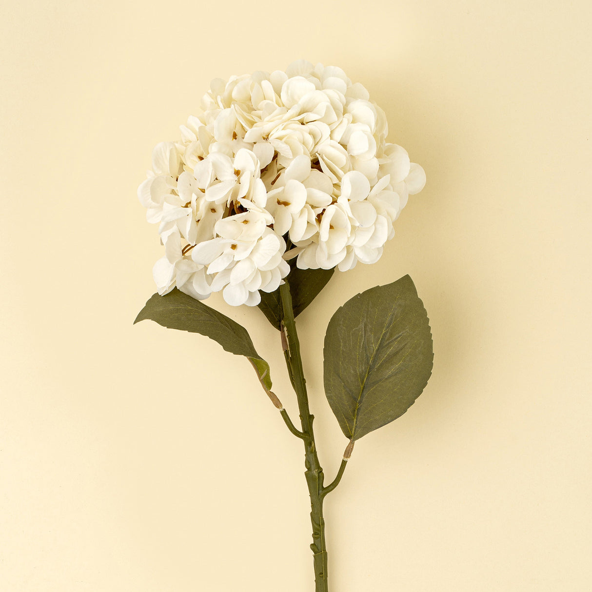 Hydrangea Floral Stem, White, Set of 24 by Mercana at Eve Furniture
