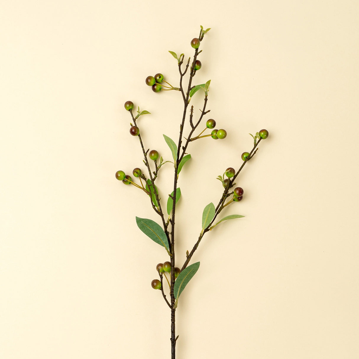 Hypericum Berry Spray, Set of 36 by Mercana at Eve Furniture