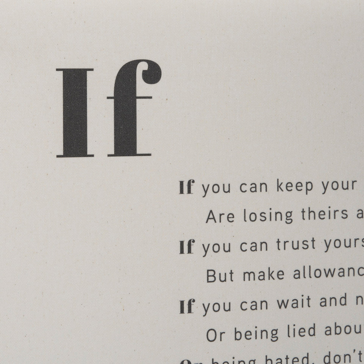 If You Can by Mercana Studio a Hand Embellished Framed Art Print Matted under Glass by Mercana at Eve Furniture