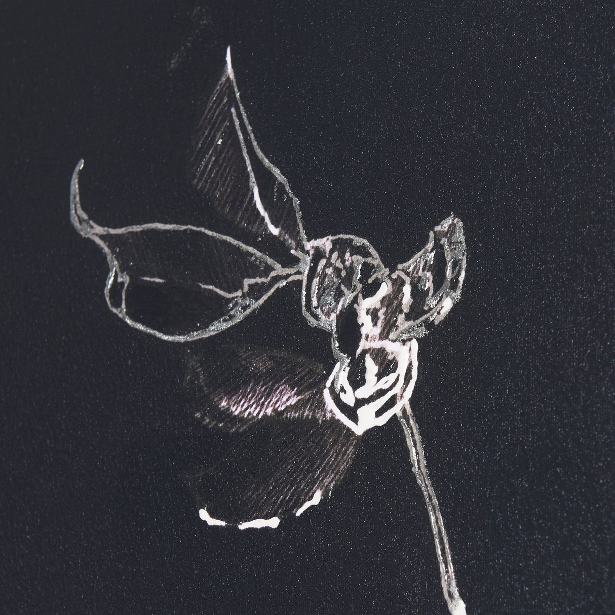 Ikebana Dark II by Mercana Studio a Hand Embellished Textured Canvas by Mercana at Eve Furniture