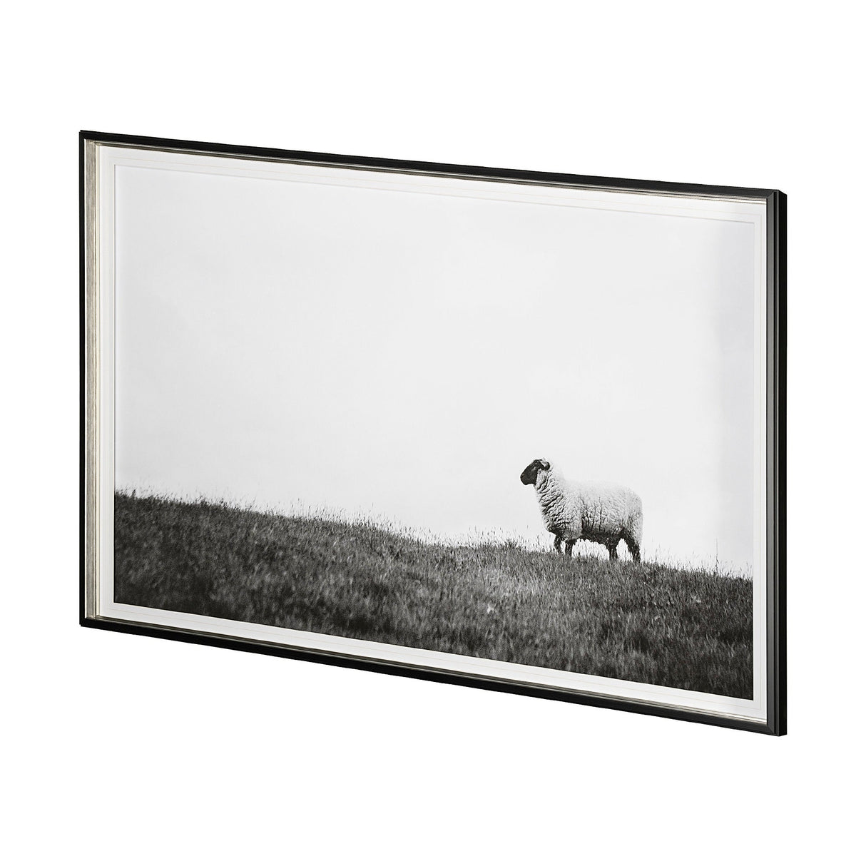 Islay Sheep II by Laura Marshall a Framed Photo Art Print Matted under Glass by Mercana at Eve Furniture