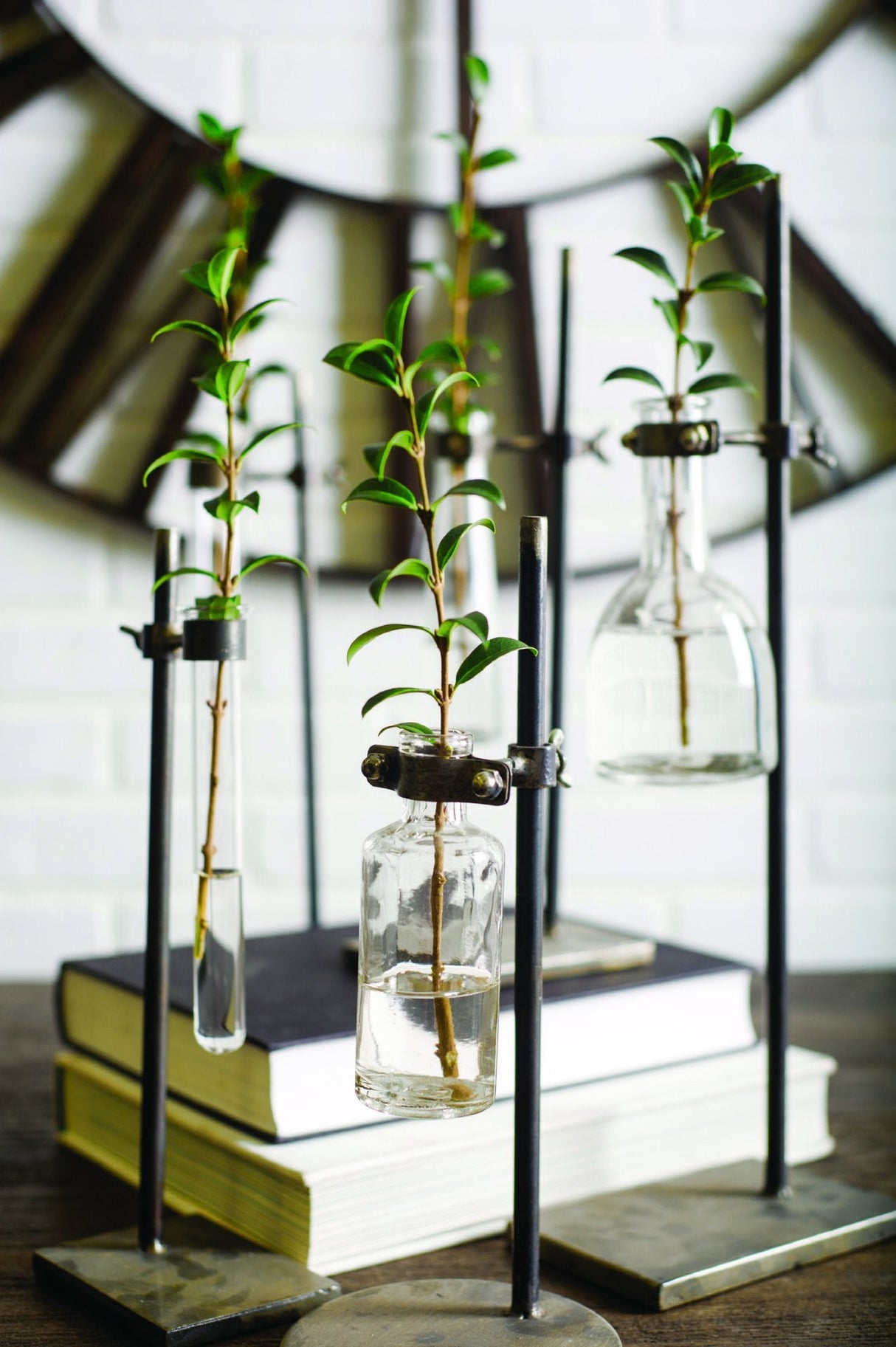 Jarvis Set of Five Dark Brown Metal and Glass Chemistry Inspired Bottles by Mercana at Eve Furniture