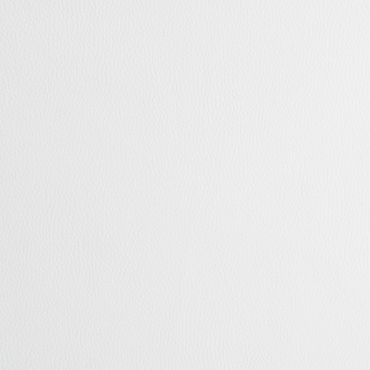 Juniper White/Chrome Armless Dining Chairs, Set of 2 by Coaster at Eve Furniture