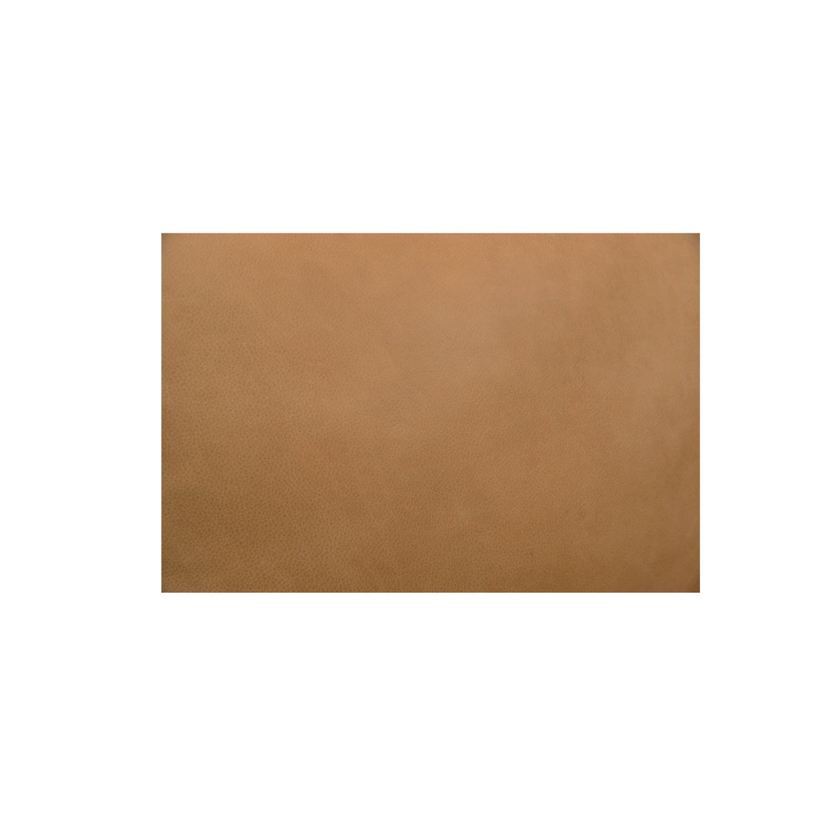Juno Tan Leather Power Recliner Chair by Moe's Home at Eve Furniture