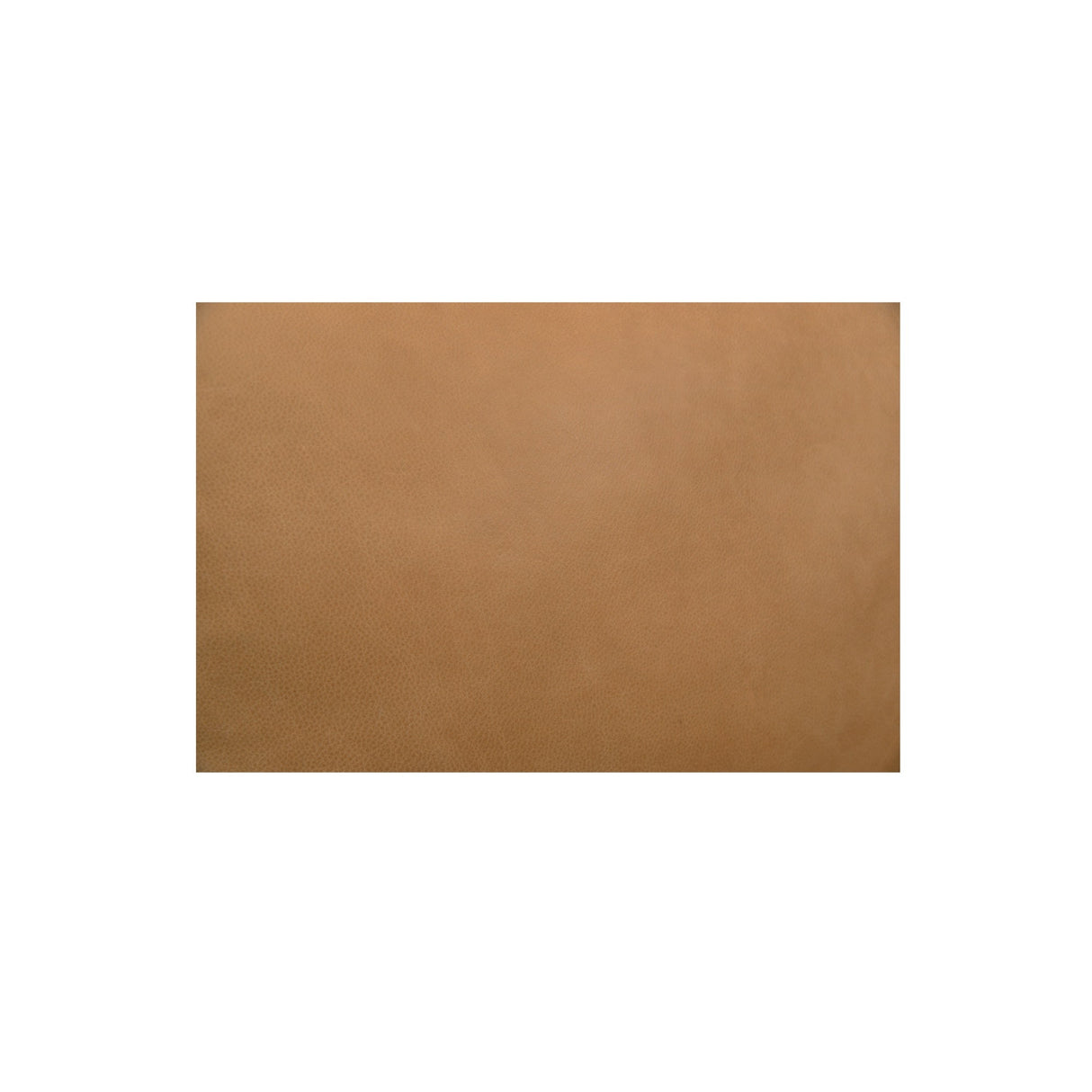 Juno Tan Leather Power Recliner Sofa by Moe's Home at Eve Furniture