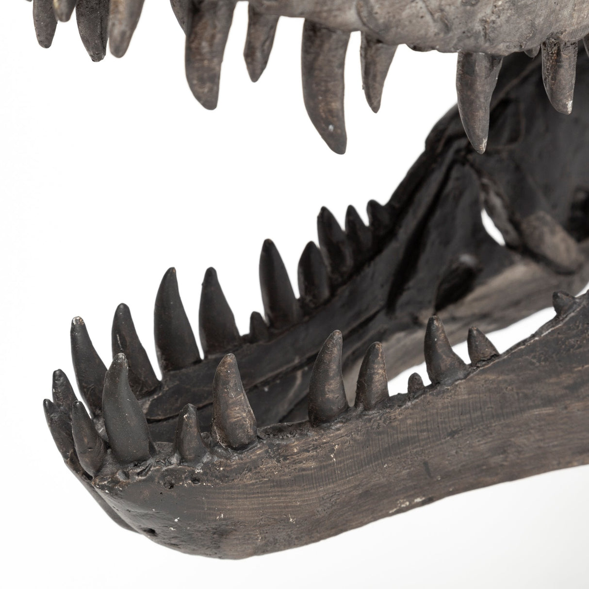 Jurassic 6L x 10W Brown Resin Tyrannosaurus Skull Replica by Mercana at Eve Furniture