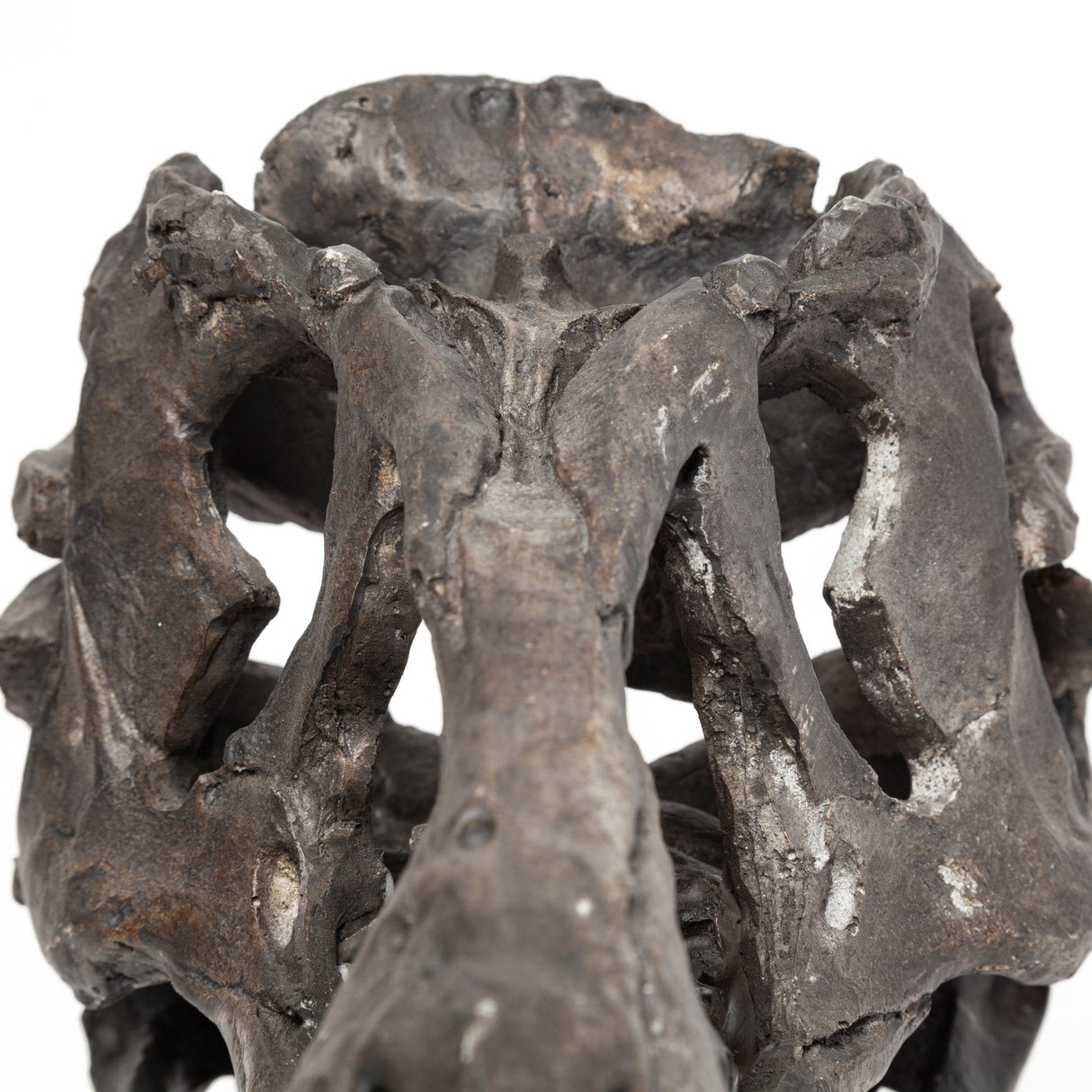 Jurassic 6L x 10W Brown Resin Tyrannosaurus Skull Replica by Mercana at Eve Furniture