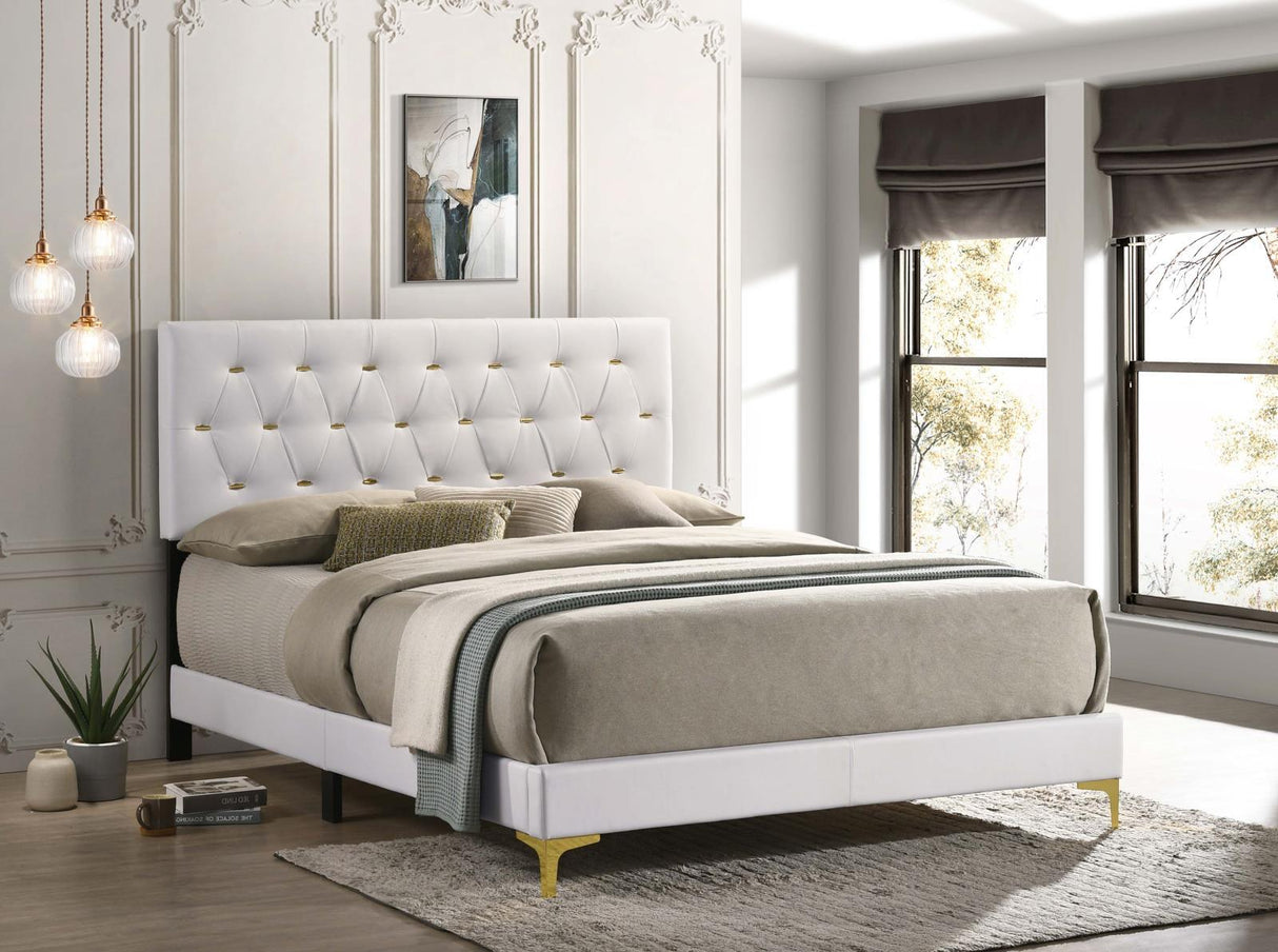 Kendall White Tufted Upholstered Panel Queen Bed by Coaster at Eve Furniture