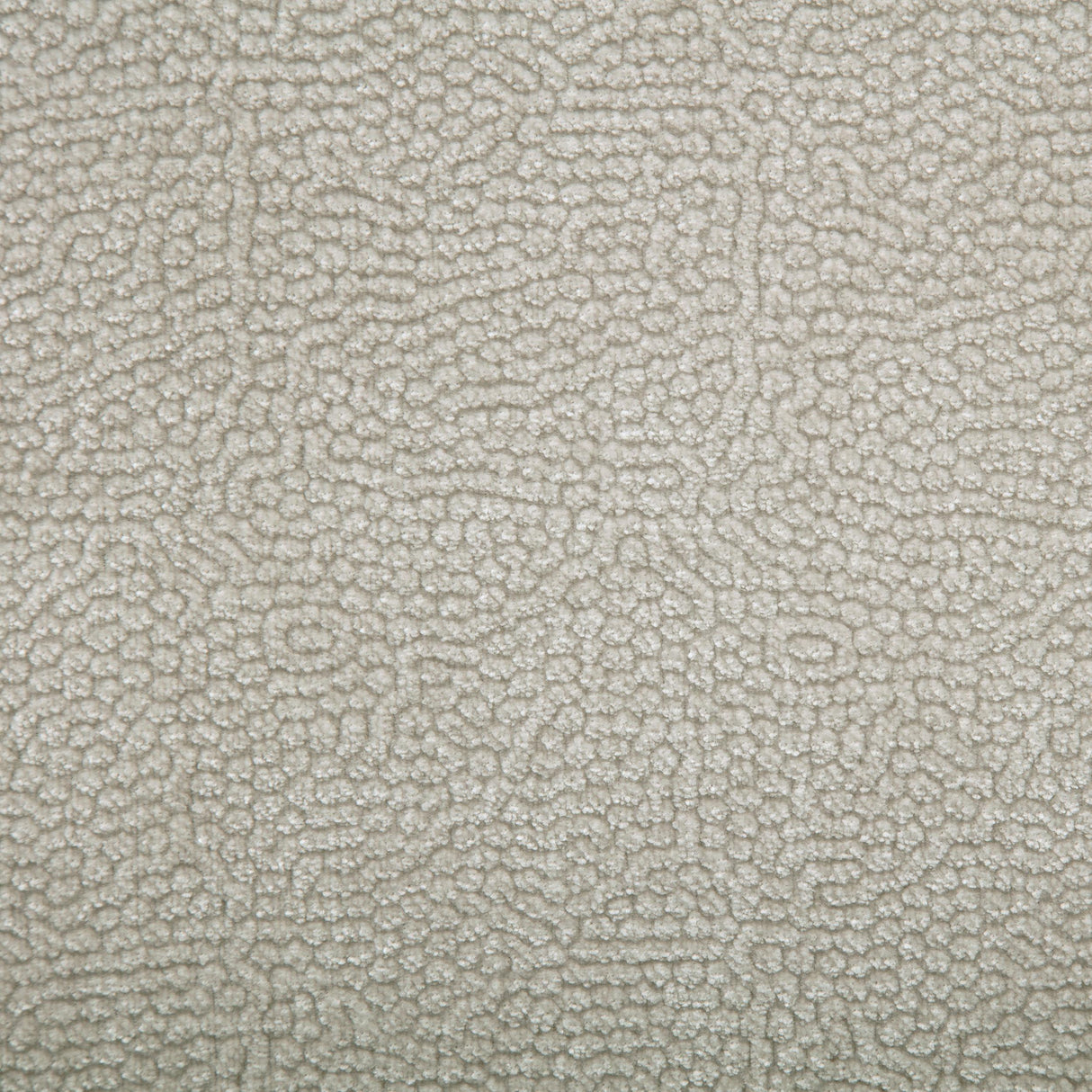 Kennett Ivory Chenille Upholstered Power Recliner Chair by Coaster at Eve Furniture