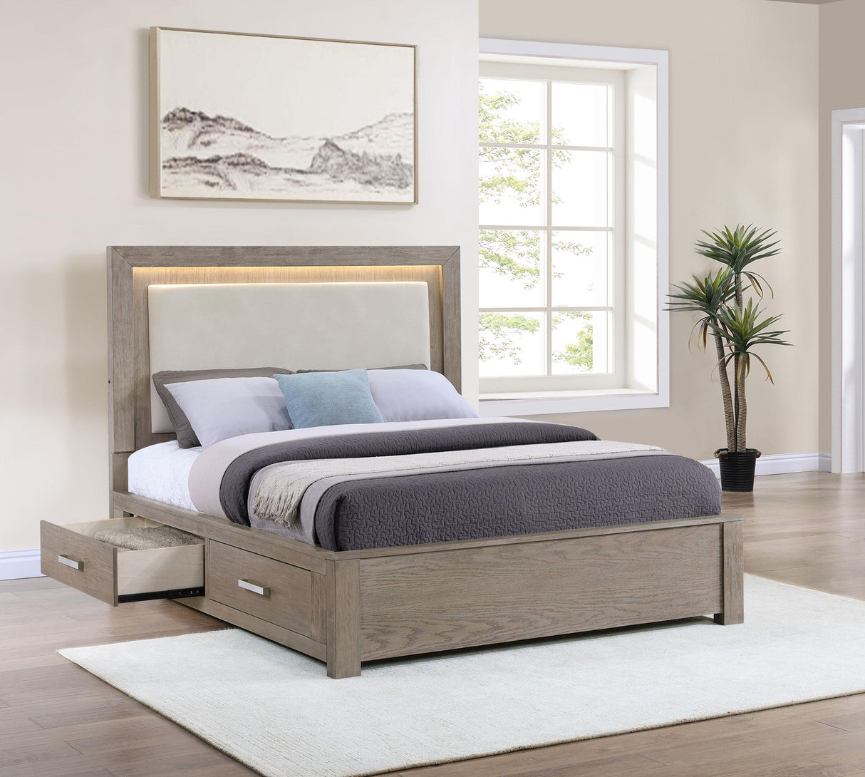 Kenora 56-inch California King LED Storage Bed Barley Brown by Coaster at Eve Furniture