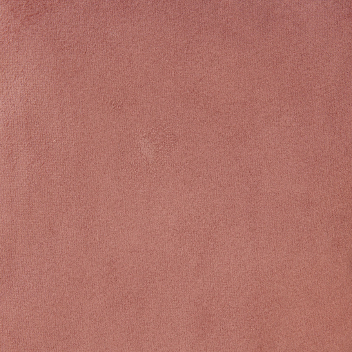 Kipas Pink Accent Chair by Zuomod at Eve Furniture