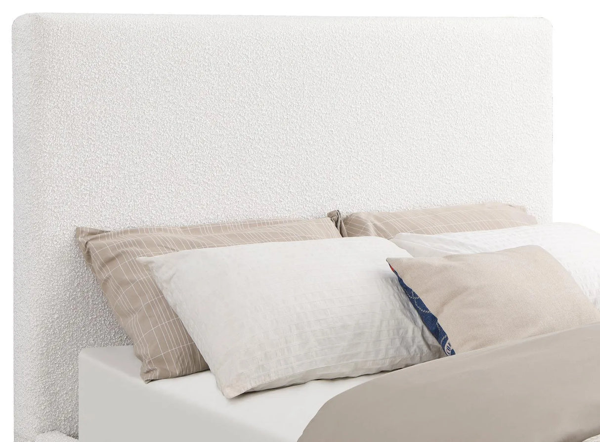 Knox Cream Upholstered Queen Platform Bed by Coaster at Eve Furniture