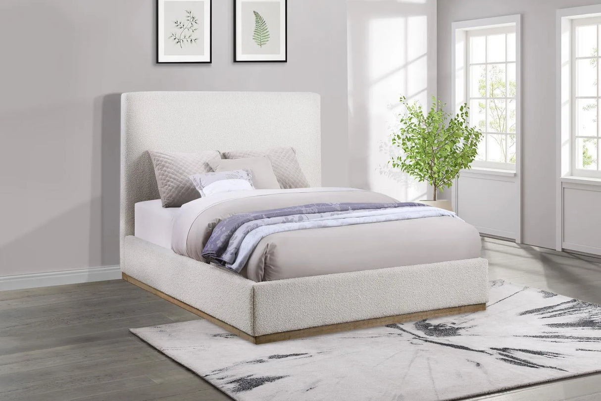 Knox Cream Upholstered Queen Platform Bed by Coaster at Eve Furniture