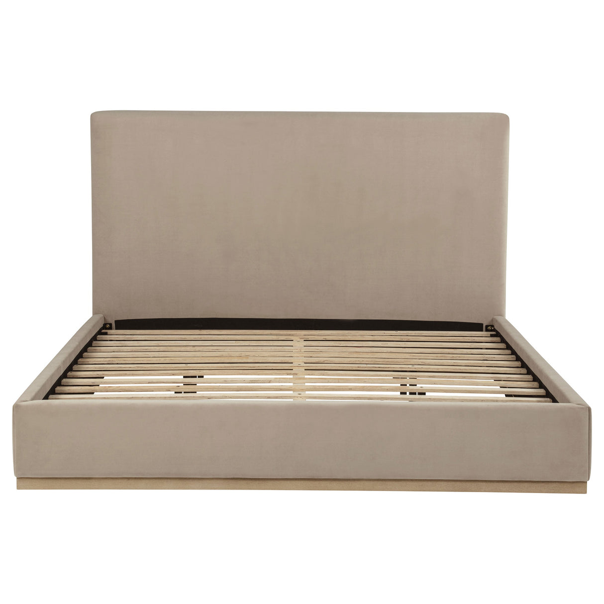 Knox Khaki Eastern King Fabric Upholstered Platform Bed by Coaster at Eve Furniture