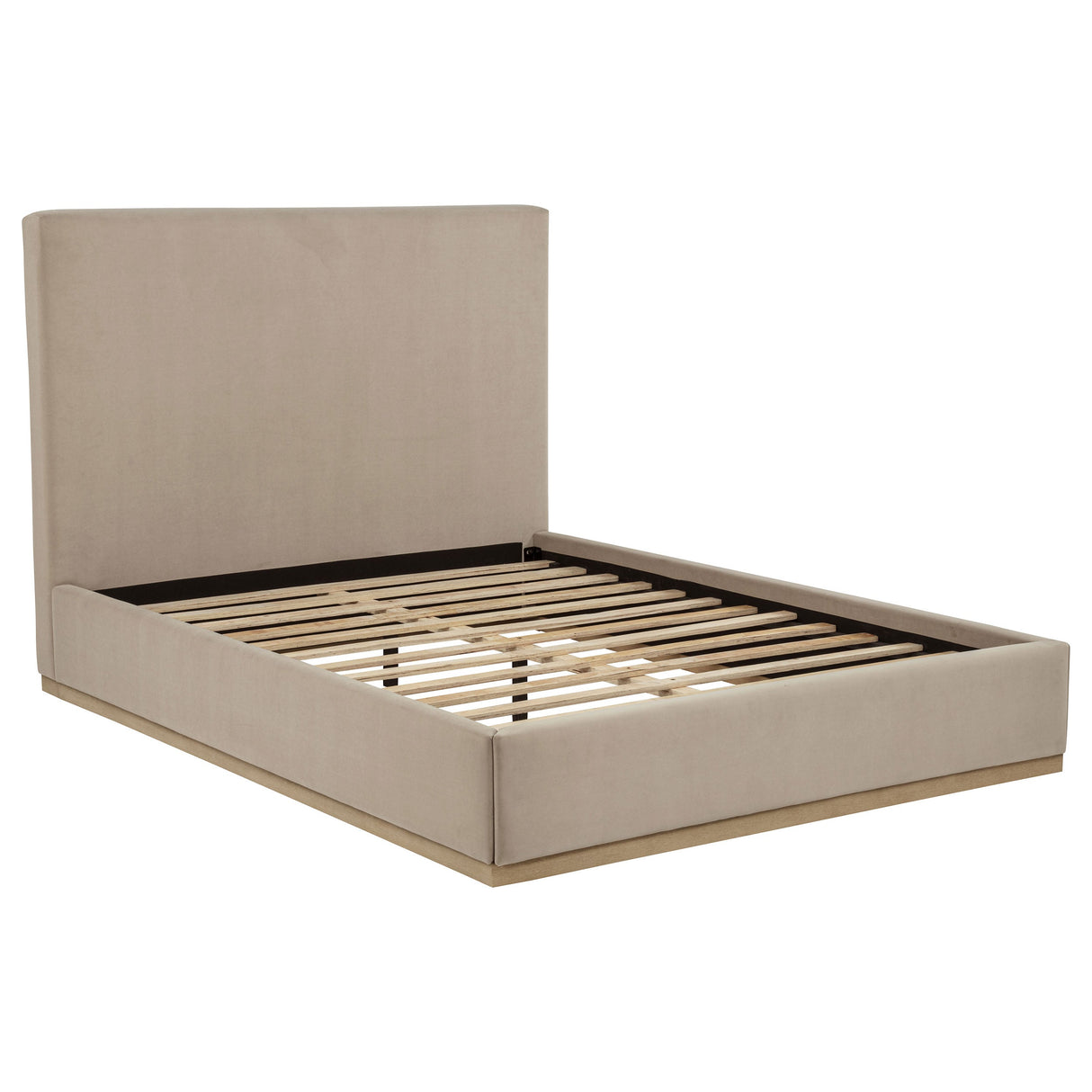 Knox Khaki Queen Fabric Upholstered Platform Bed by Coaster at Eve Furniture