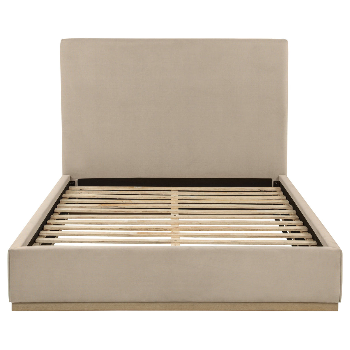 Knox Khaki Queen Fabric Upholstered Platform Bed by Coaster at Eve Furniture