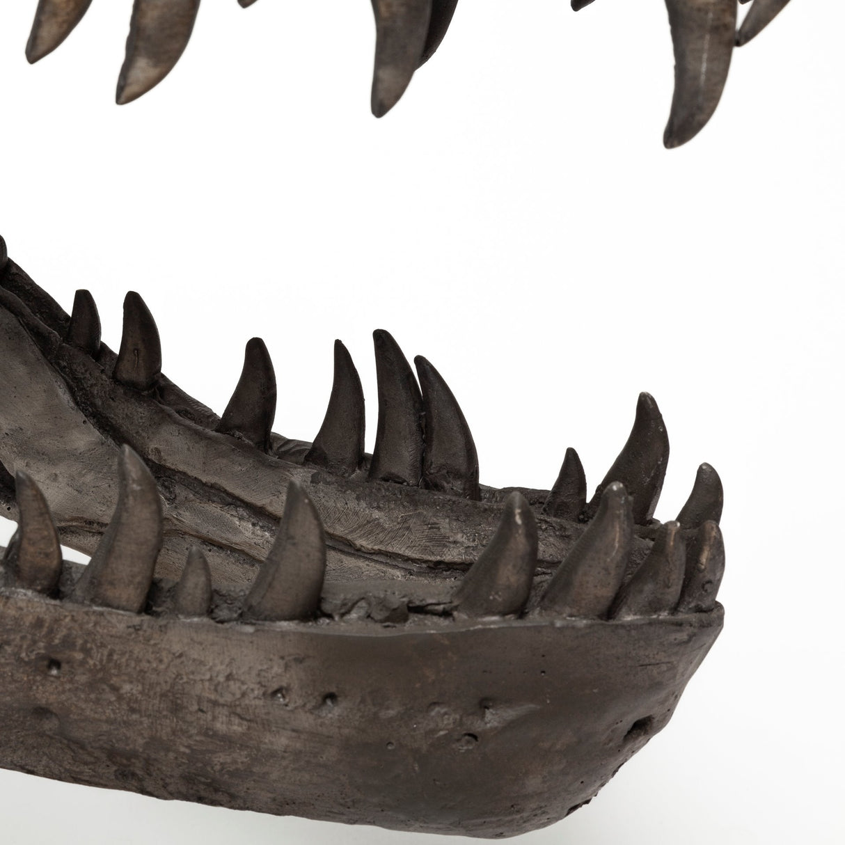 Lagrane 19L x 11W Brown Resin Tyrannosaurus T Rex Dinosaur Skull Replica by Mercana at Eve Furniture