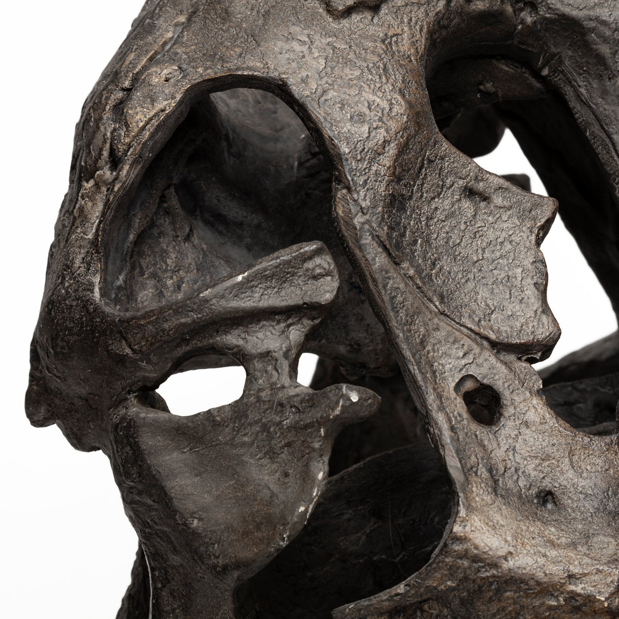 Lagrane Brown Resin Tyrannosaurus T Rex Dinosaur Skull Replica by Mercana at Eve Furniture