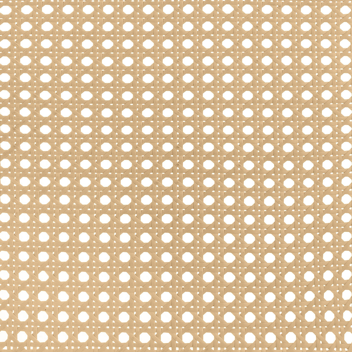 Lanewood Black Polyethylene PE Rattan Upholstered Metal Queen Bed by Coaster at Eve Furniture