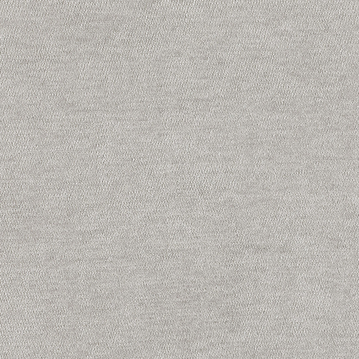 Laredo Upholstered Tufted Convertible Sofa Bed Light Grey by Coaster at Eve Furniture