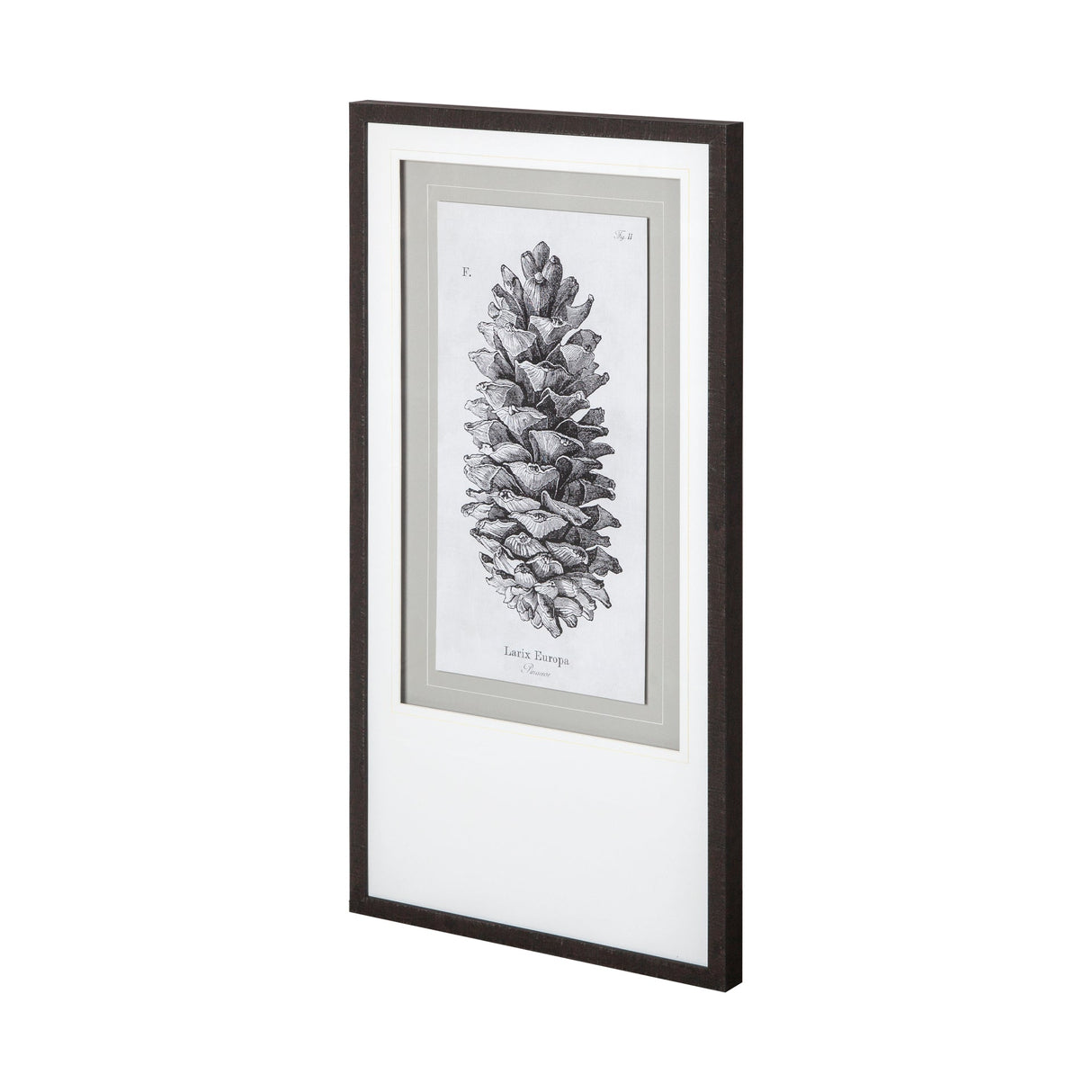 Larix Europa by Maria Mendez a Framed Art Print Matted under Glass by Mercana at Eve Furniture