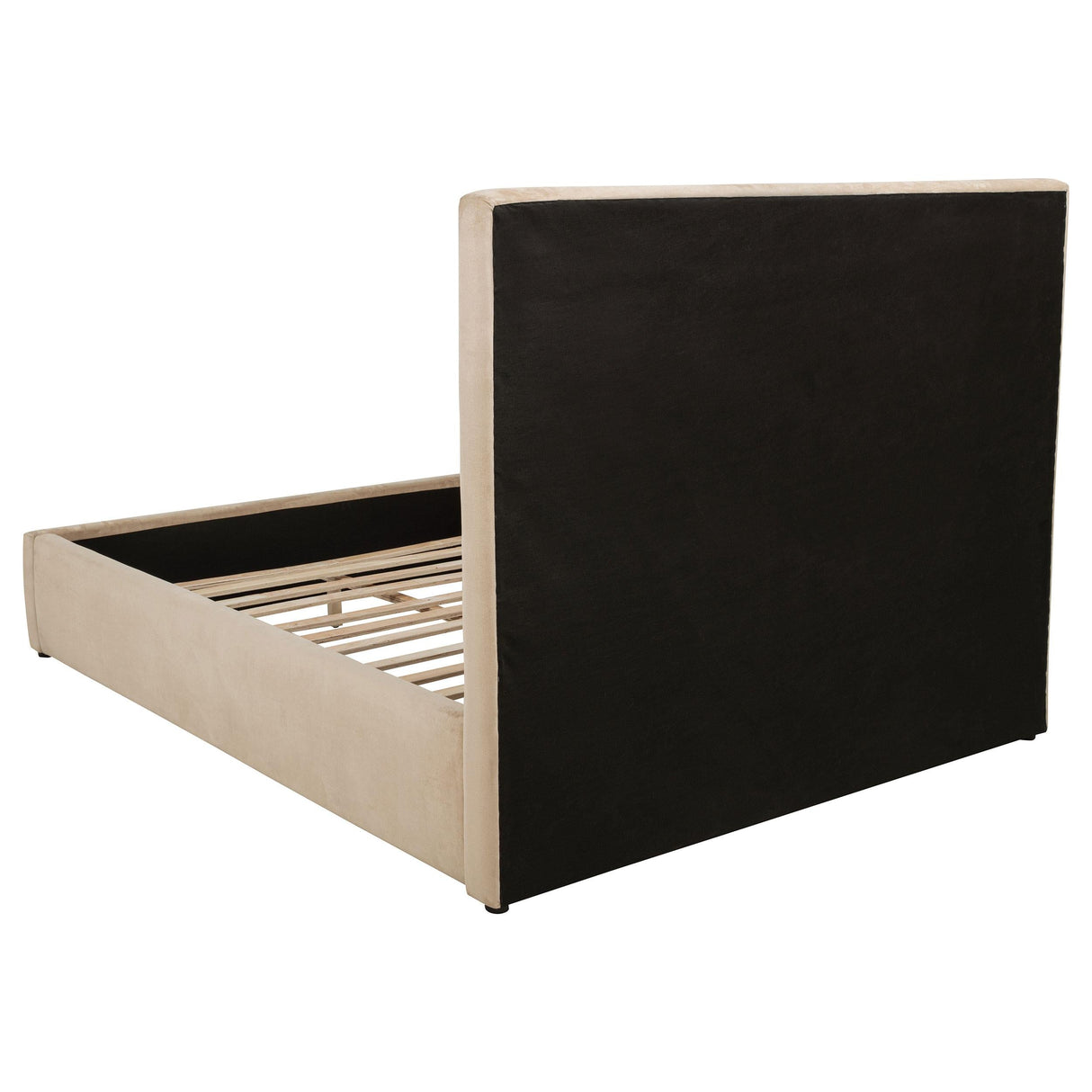 Lawson Light Saddle 55-inch Upholstered Queen Platform Bed by Coaster at Eve Furniture