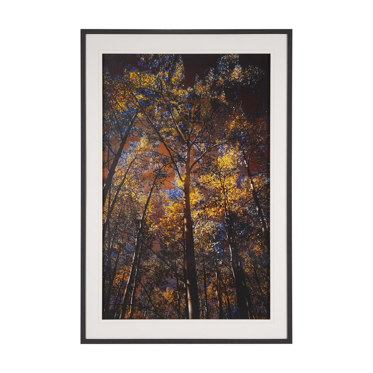 Leafy Shelter by Bobbie Goodrich a Hand Embellished Framed Photo Art Print Matted under Glass by Mercana at Eve Furniture