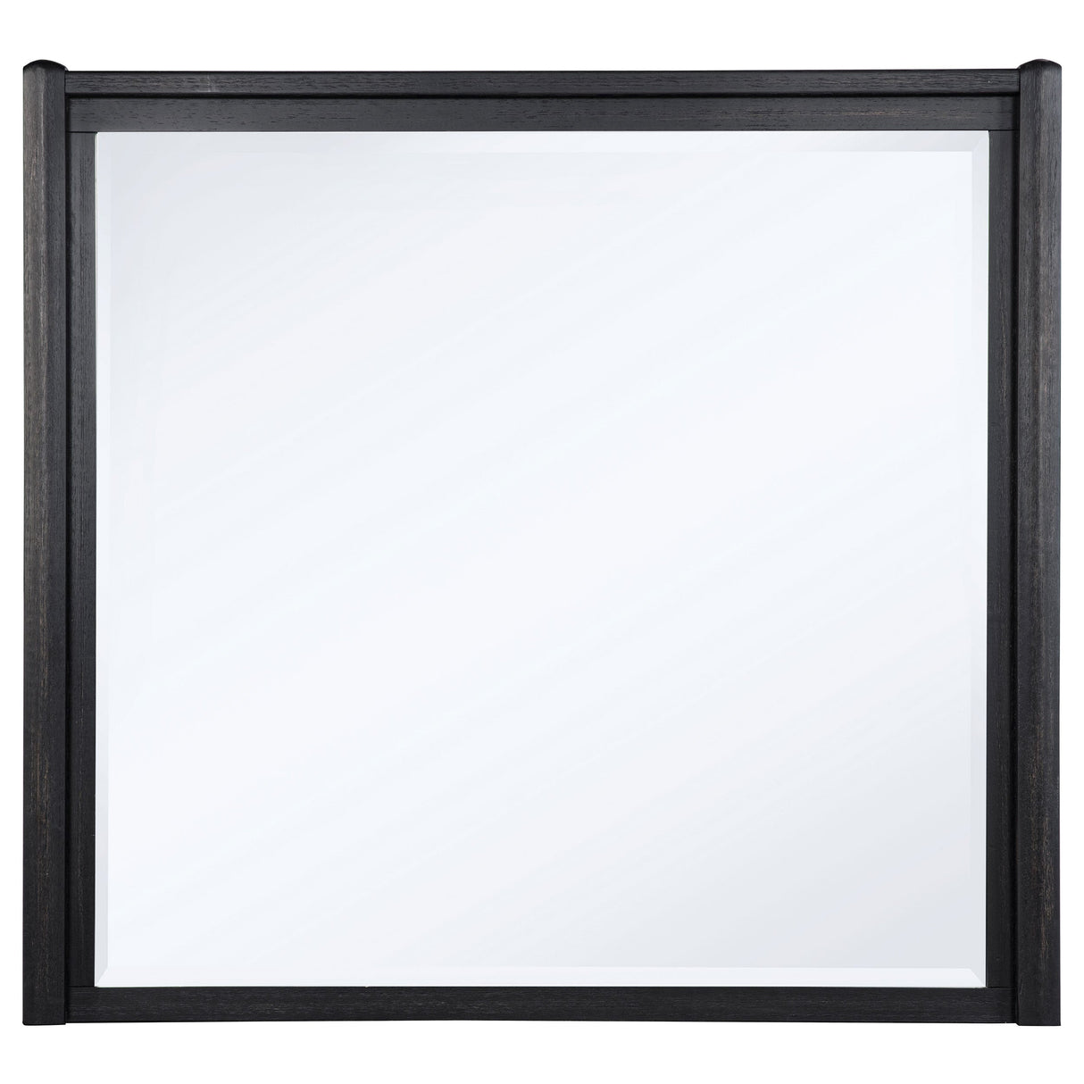 Leandro Burnished Black Dresser Mirror by Coaster at Eve Furniture