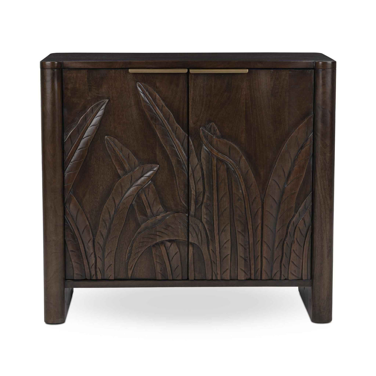 Ledro Dark Brown 2 Door Cabinet by Classic Home at Eve Furniture